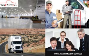 best packers and movers Truemovers